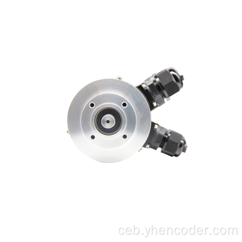 Ang rotary encoder hingpit